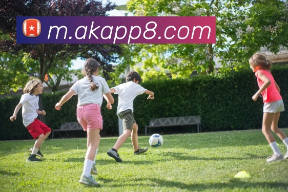 App Interface Preview